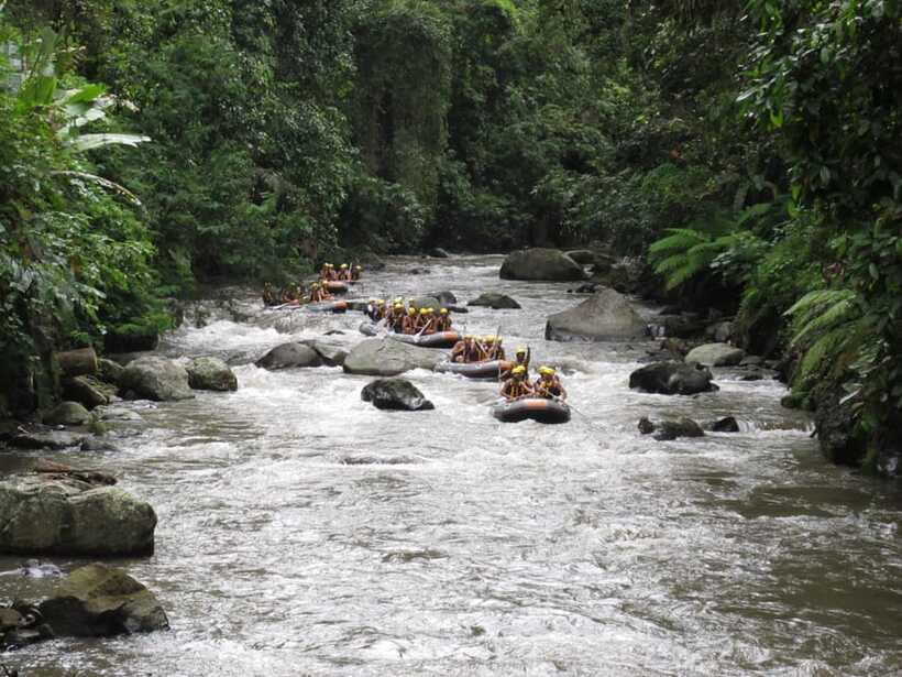 Ubud: Ayung River Rafting Include Lunch - Lunch After the Rapids: What You Can Expect to Eat