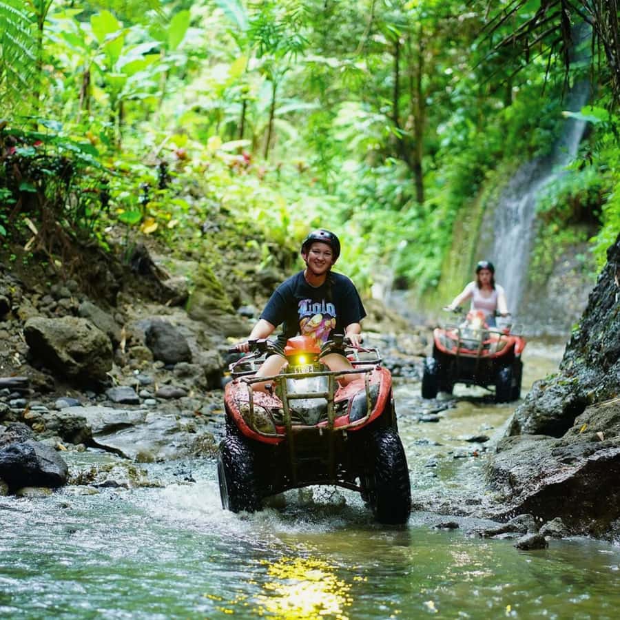 Ubud Bali ATV Alasan Adventure Gorila Cave & Cretya Pool Bar - ATV bike types and who can ride: 250cc plus optional upgrades