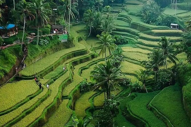 Ubud Bali Driver ( Bali Custom Tour ) - Besakih and Tirta Empul, plus a Mount Batur stop that fits the day