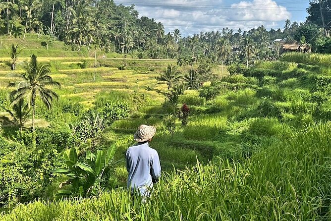 Ubud Bali Driver - Private Driver in Ubud - Why a private Ubud driver beats the usual ride-around