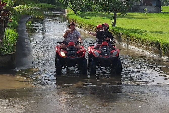 Ubud Bali Driver - Private Driver in Ubud - How to plan an 8 to 10 hour Ubud day without feeling rushed