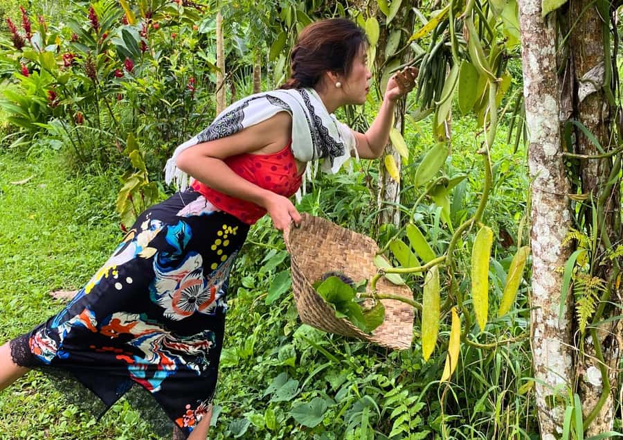 Ubud: Balinese Cooking Class at an Organic Farm - From Ubud Pickup to a Market Morning That Feels Local