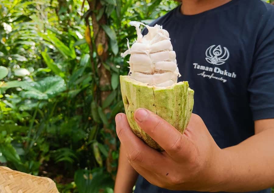 Ubud: Balinese Cooking Class at an Organic Farm - Welcome Coffee, Light Breakfast, and Settling Into a Real Working Kitchen