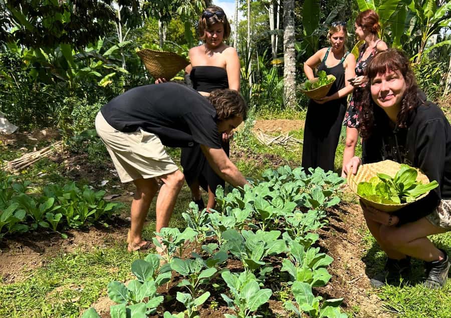 Ubud: Balinese Cooking Class at an Organic Farm - Vegetarian Menu: Gado Gado, Opor Tempe, Bergedel, and Vegan Sate Lilit