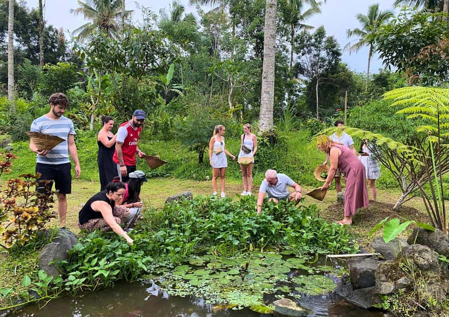 Ubud: Balinese Cooking Class at an Organic Farm - Eating What You Cook, and Why the Recipe Book Matters