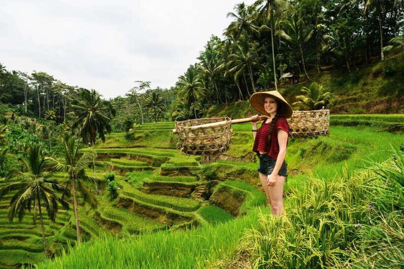 Ubud: Best of Ubud Full-Day Tour with Entry Tickets - Hotel Pickup and Drop-Off: The Real Start of Your Day