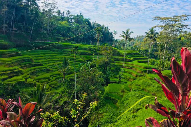 Ubud Best Tour - Tegalalang Rice Terrace: Iconic Views With Enough Time to Breathe