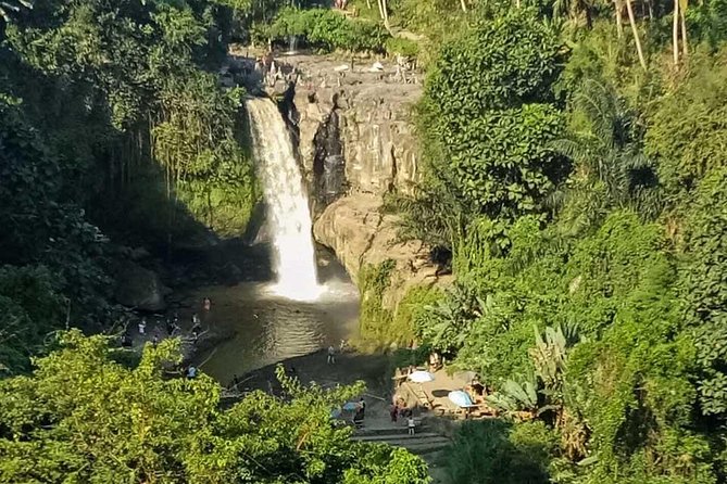 Ubud Best Tour - Your Day at a Glance: Timing That Keeps Things Comfortable
