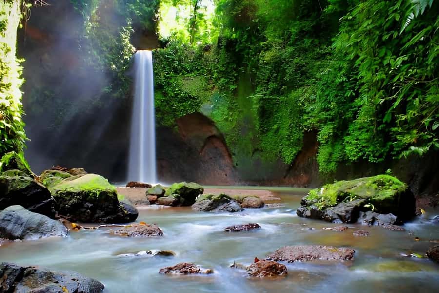 Ubud - Best Waterfall Tour & Bali Swing - Key highlights to know before you go