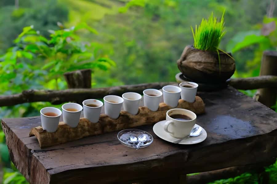 Ubud - Best Waterfall Tour & Bali Swing - Price value: $33 plus extras, what you’re really paying for