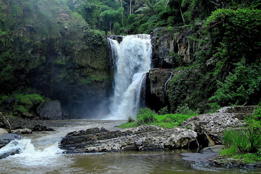 Ubud & Canggu: Rice Terrace, Waterfall & Black Sand Beach - Rice swings and photo time: fun, but manage your minutes