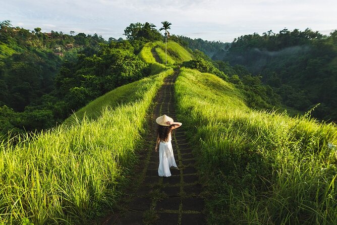 Ubud Countryside Tour: Campuhan Ridge Walk and Rice Terrace - Key highlights that make this tour worth your time