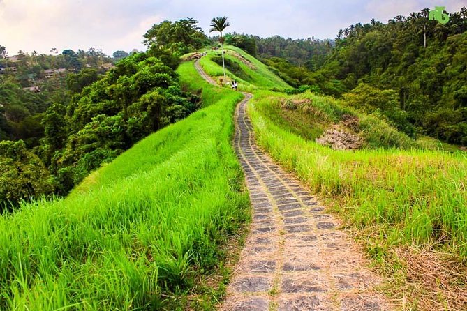 Ubud Countryside Tour: Campuhan Ridge Walk and Rice Terrace - Why Ubud Countryside Feels Like a Real Change of Pace