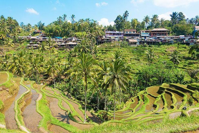 Ubud Countryside Tour: Campuhan Ridge Walk and Rice Terrace - Stop 1: Traditional Balinese House Compound in Batuan