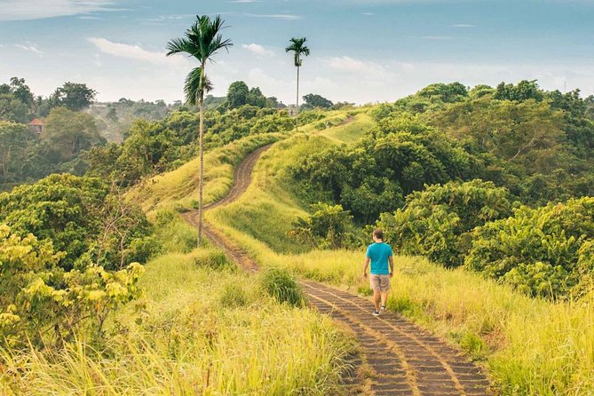 Ubud Countryside Tour: Campuhan Ridge Walk and Rice Terrace - Coffee plantation break: a small pause with a big payoff