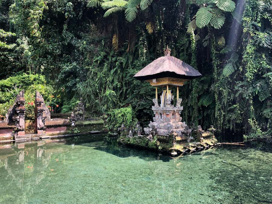 Ubud: Cretya Infinity Pool, Hidden Waterfall & Water Temple - Key highlights you’ll feel right away