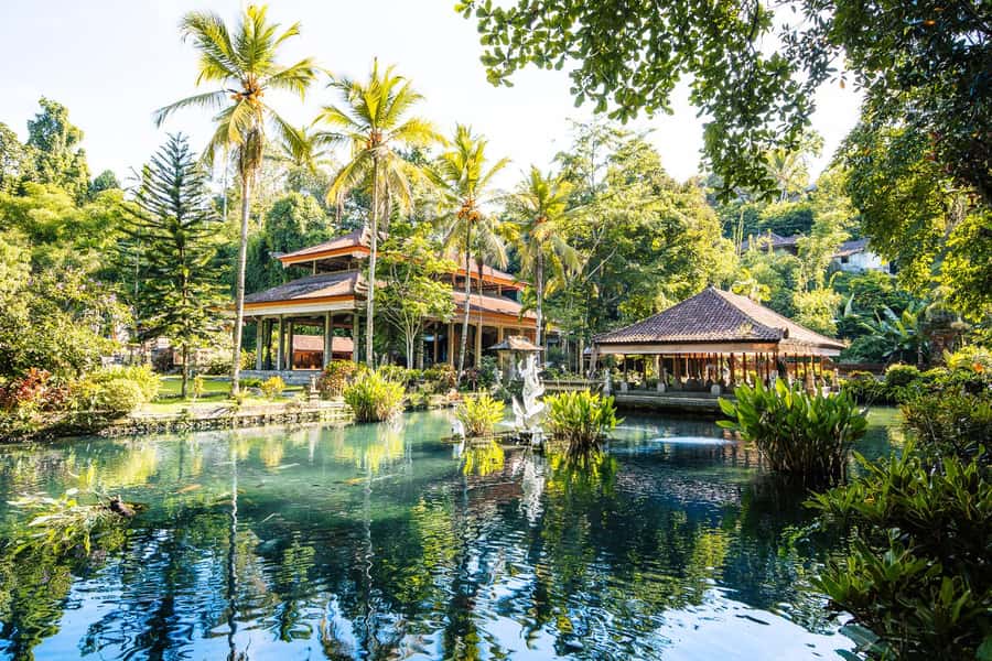Ubud: Cretya Infinity Pool, Hidden Waterfall & Water Temple - Cretya Ubud infinity pool and rice-terrace views that don’t feel rushed