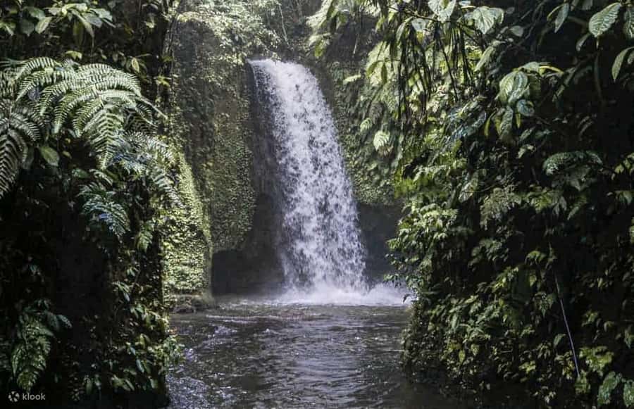 Ubud: Cretya Infinity Pool, Hidden Waterfall & Water Temple - Should you book this Cretya, temple, waterfall, and coffee day?
