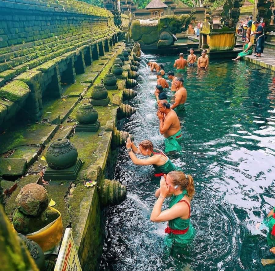 Ubud: Customised private day trip with personal driver - What You’ll Actually Do in an 8-Hour Ubud Day (And Why It Works)