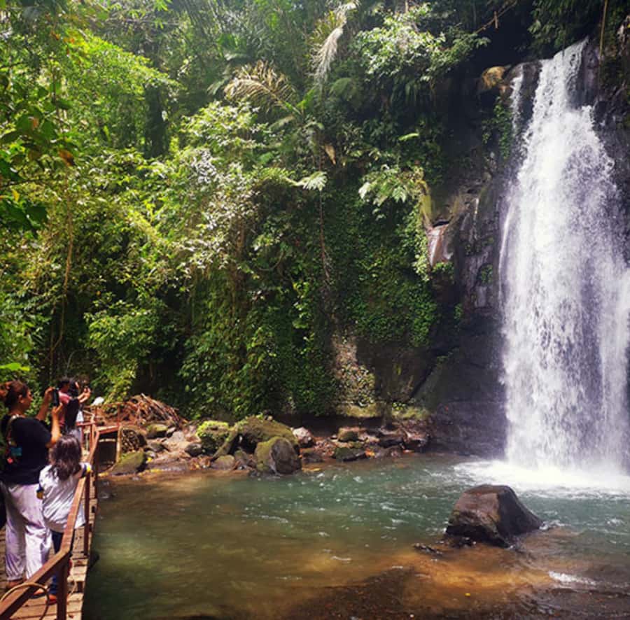 Ubud: Customised private day trip with personal driver - Barong Dance and Art Village: Cultural Stops That Need a Little Context