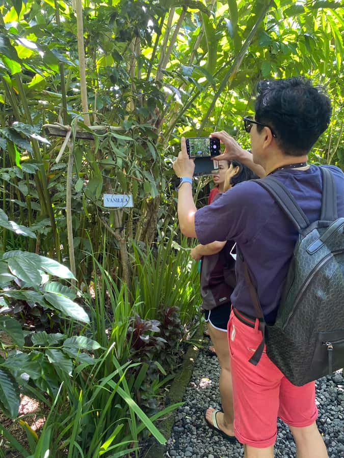 Ubud: Customised private day trip with personal driver - Coffee Plantation and Tastings: A Worthwhile Break If You Like the Ritual