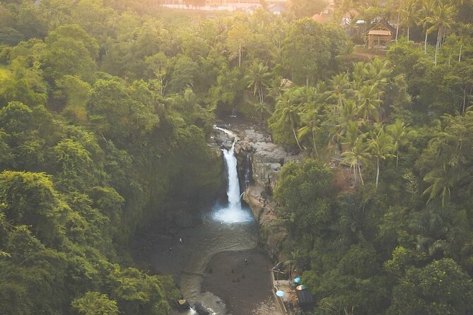 Ubud Day Tour: Sacred Monkey Forest, Tegenungan Waterfall, Rice Terrace - Private Car and a Real Driver: How This Ubud Day Gets You Moving
