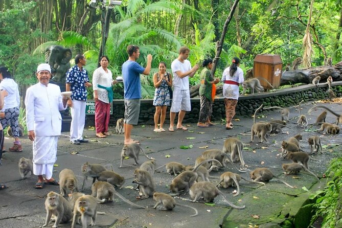 Ubud Day Tour: Sacred Monkey Forest, Tegenungan Waterfall, Rice Terrace - Price and Value: Why $24 Can Still Feel Like a Good Deal