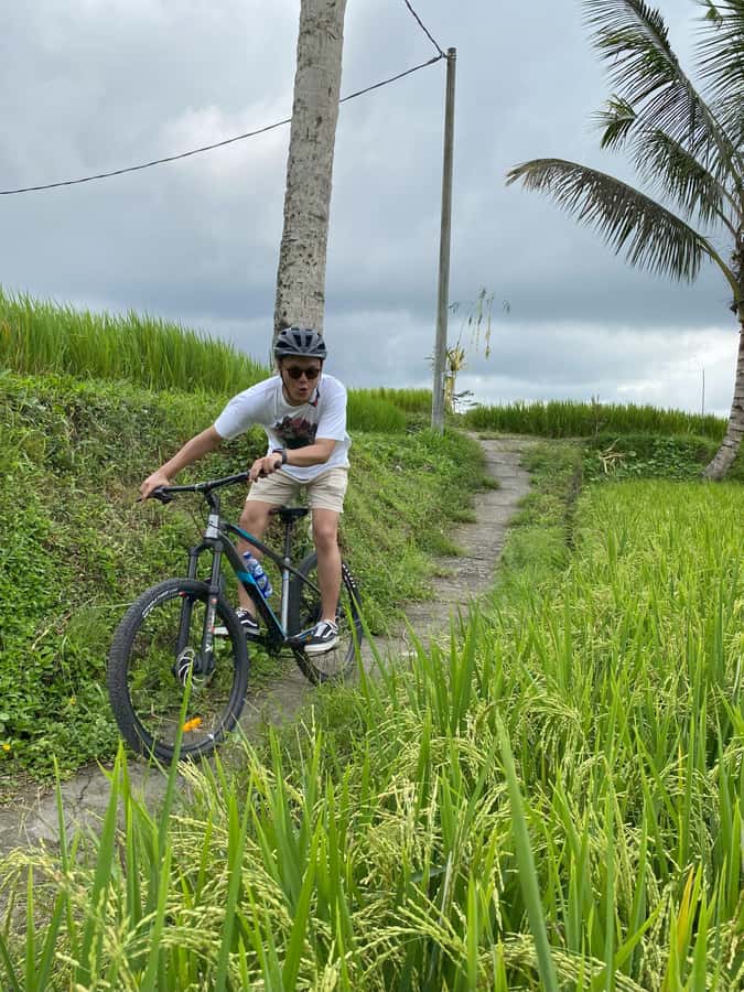 Ubud: Downhill Bike Tour Rice Fields, Volcano and Pool - Kintamani to Ubud: why the downhill route feels so Bali