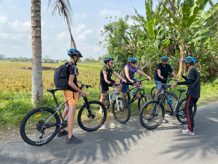 Ubud: Downhill Bike Tour Rice Fields, Volcano and Pool - Mount Batur area views that set the whole day’s tone
