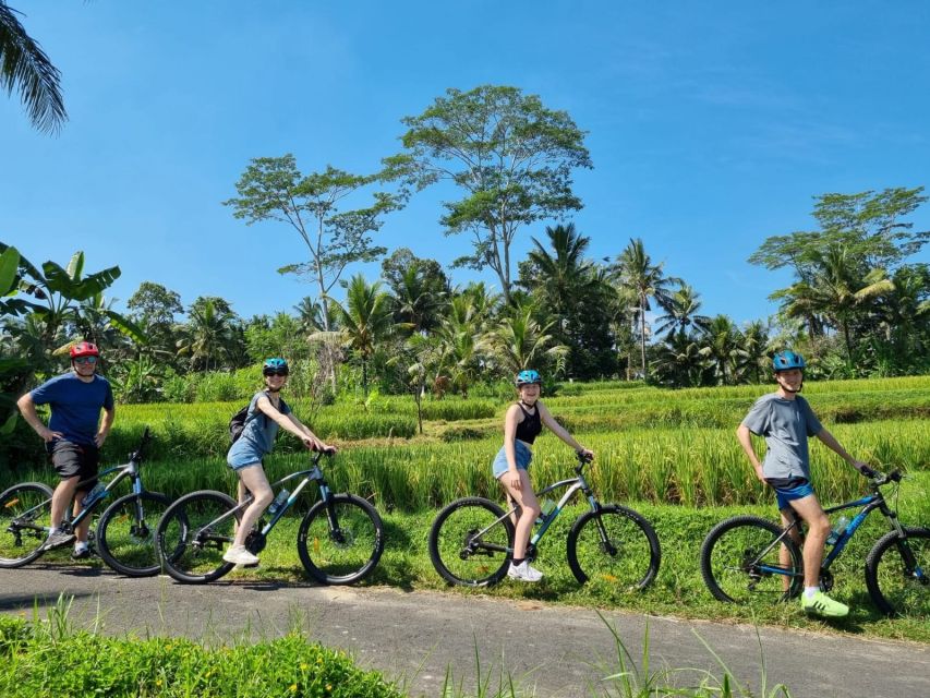 Ubud: Downhill Cycling with Volcano, Rice Terraces, and Meal - Coffee and Tea Stops: Nice Extras If Your Route Includes Them