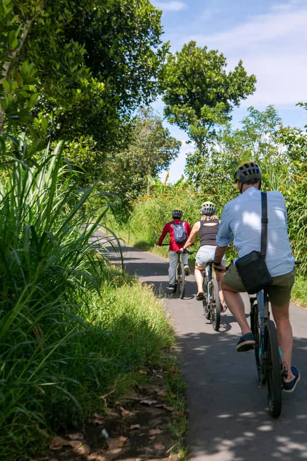 Ubud: Downhill Cycling with Volcano, Rice Terraces, and Meal - South Batur Viewpoint Stop: Volcano Photos Before the Tires Roll