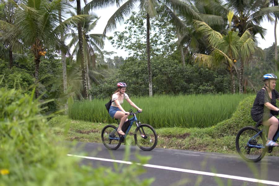 Ubud: E-Bike Tour with Rice Terrace and Village Visit - Why Ubud by e-bike makes the rice terraces easier to enjoy