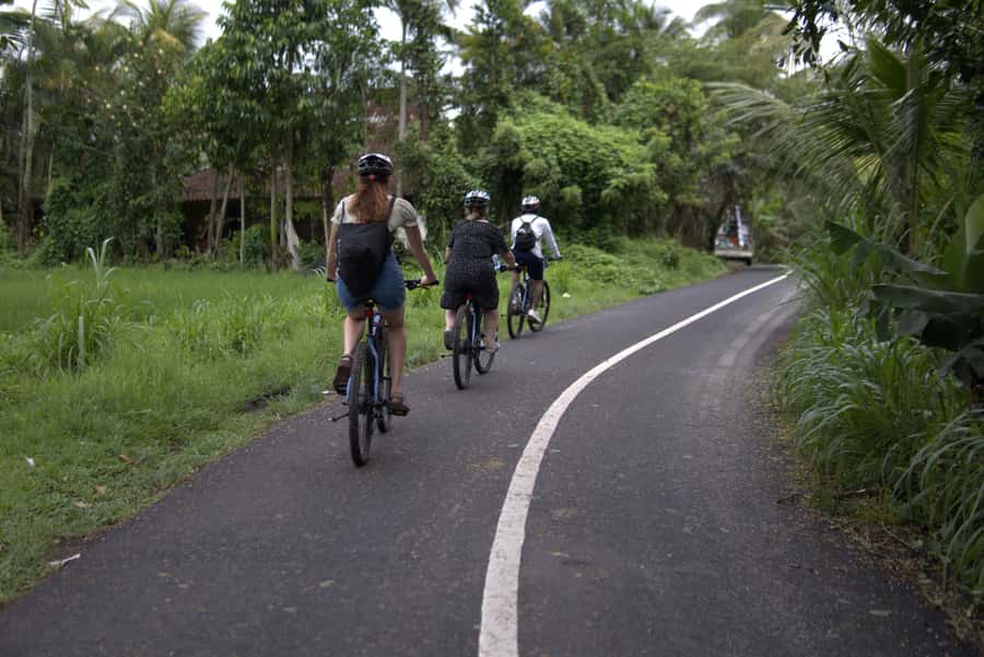 Ubud: E-Bike Tour with Rice Terrace and Village Visit - The Ubud start: pickup, safety talk, and getting comfortable fast