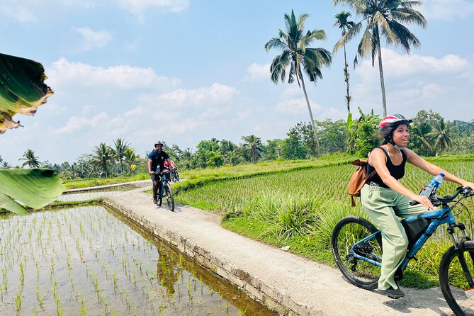Ubud eBikes Tour to Tegallalang Rice Terrace - Price and value: what $30.55 realistically covers