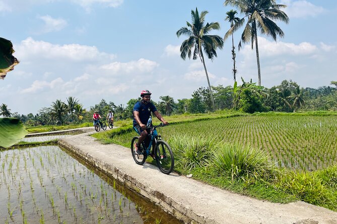 Ubud eBikes Tour to Tegallalang Rice Terrace - Petulu area riding: countryside views at a relaxed, human pace
