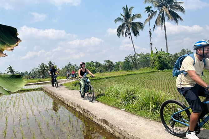 Ubud eBikes Tour to Tegallalang Rice Terrace - The culture stops: compound house and temple visits you can actually ask about