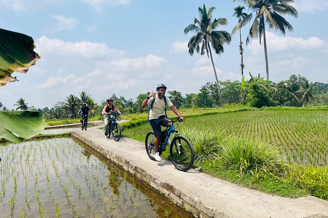 Ubud eBikes Tour to Tegallalang Rice Terrace - Tegallalang rice terrace and lunch: making the most of your 45 minutes