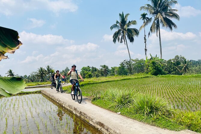 Ubud eBikes Tour to Tegallalang Rice Terrace - Guides and group size: why the tour feels personal even with up to 10 people