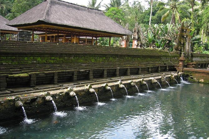 Ubud Experience ; Swing, Waterfalls, Art Market, Rice Terrace - Price and What Is Actually Included