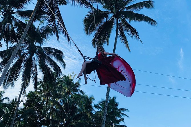 Ubud Experience ; Swing, Waterfalls, Art Market, Rice Terrace - Timing, Heat, and Traffic: How to Make the 8 to 9 Hours Work
