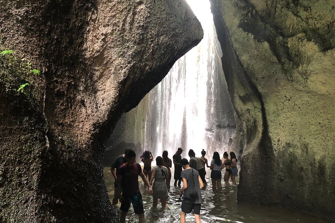 Ubud Experience ; Swing, Waterfalls, Art Market, Rice Terrace - Should You Book This Private Ubud Highlights Tour?