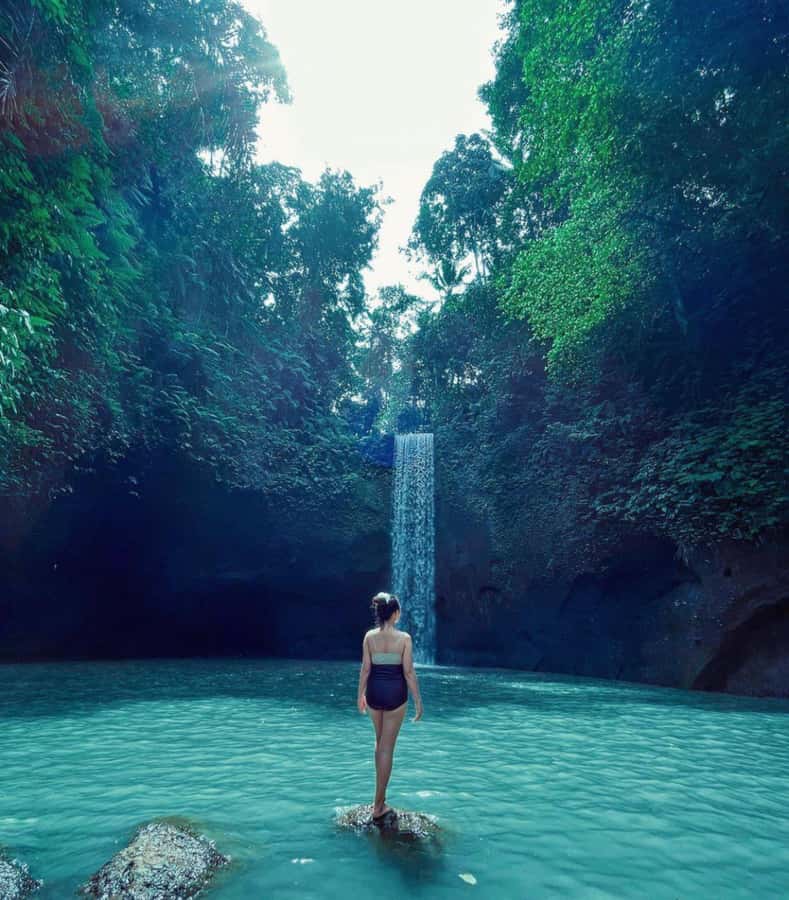 Ubud: Full-Day Rice Terrace, Monkey Forest & Waterfall - Tirta Empul Temple and the Holy Water Purification Ritual