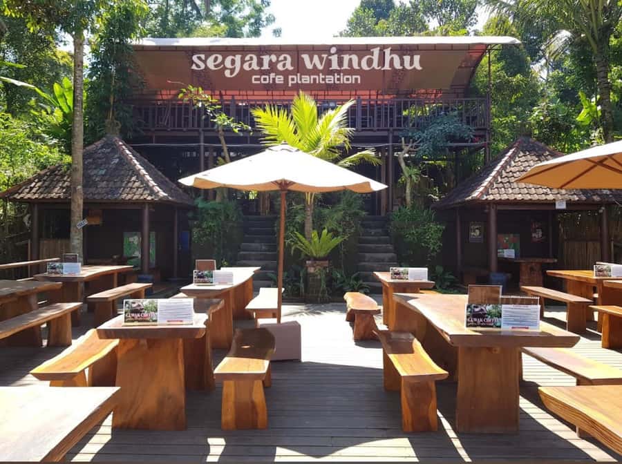 Ubud: Full-Day Rice Terrace, Monkey Forest & Waterfall - Segara Windhu Coffee Plantation: Tastings with Context