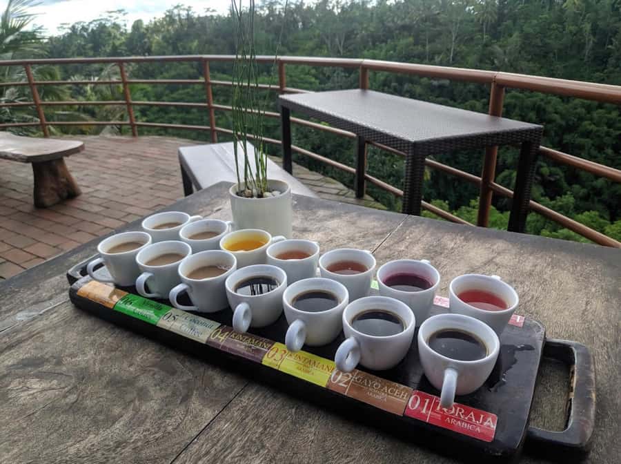 Ubud: Full-Day Rice Terrace, Monkey Forest & Waterfall - Private Transport and English-Speaking Driver-Guides: Why It Matters