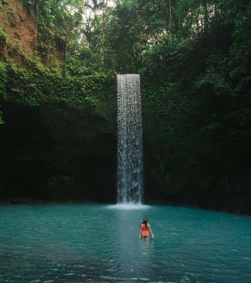 Ubud: Full-Day Rice Terrace, Monkey Forest & Waterfall - Pickup, Timing, and How to Pace a 9-Hour Ubud Circuit