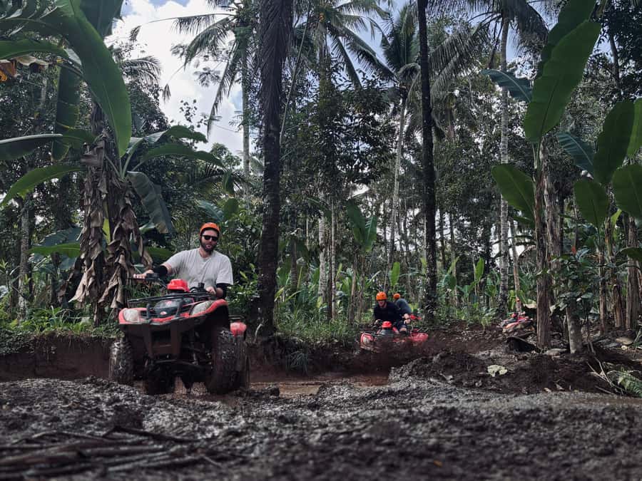 Ubud: Gorilla Face Quad Bike, Jungle Swing, Waterfall & Meal - Should you book this Ubud quad, swing, and waterfall combo?