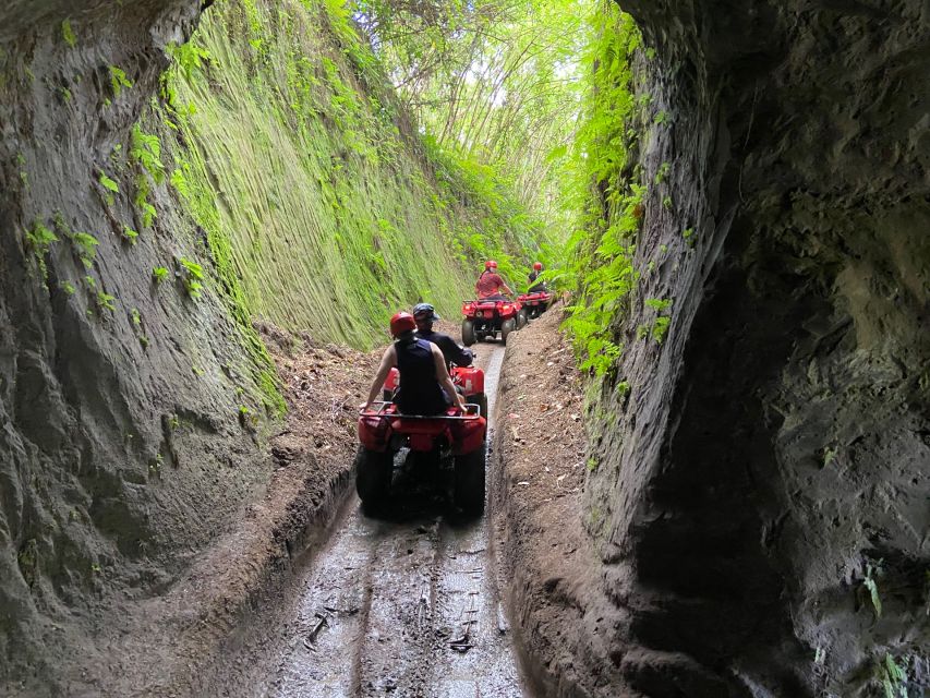 Ubud: Gorilla Face Quad Bike, Jungle Swing, Waterfall & Meal - Gorilla ATV Adventure quad bike: 1.5 hours through mud, villages, rice paddies, and the gorilla-face cave