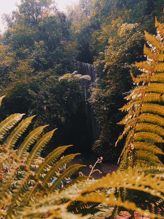 Ubud: Gorilla Face Quad Bike, Jungle Swing, Waterfall & Meal - Photo help, lockers, showers, and lunch that keeps the day moving