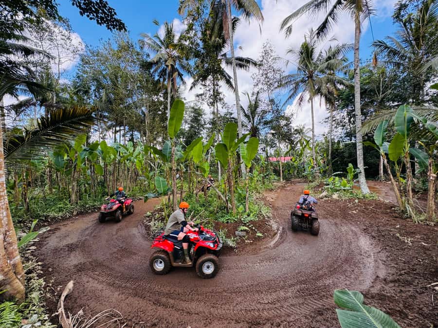 Ubud: Gorilla Face Quad Bike, Jungle Swing, Waterfall & Meal - Price and value: why $46 can feel like a bargain in this setup