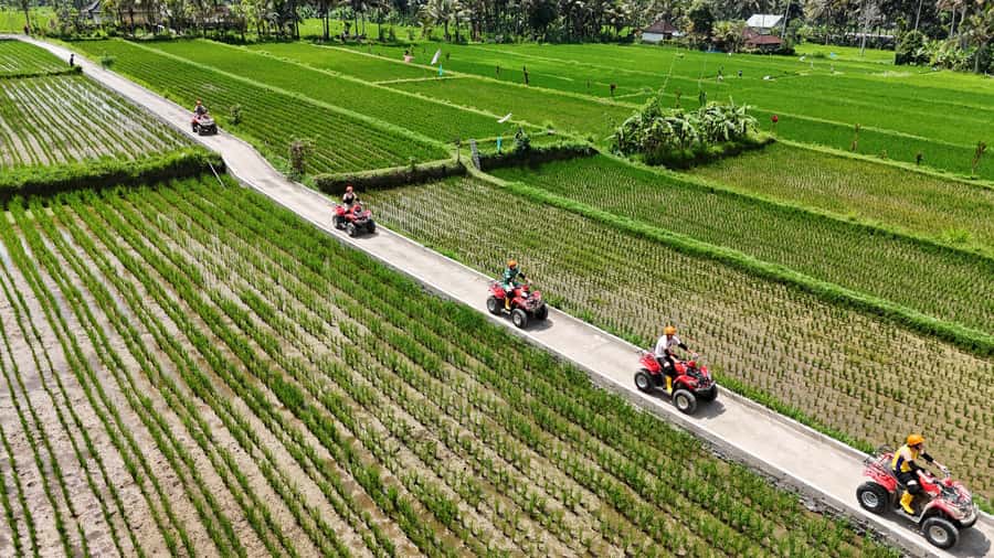 Ubud: Guided ATV Quad Bike Jungle Adventure with Lunch - Key things that make this ATV adventure worth your time